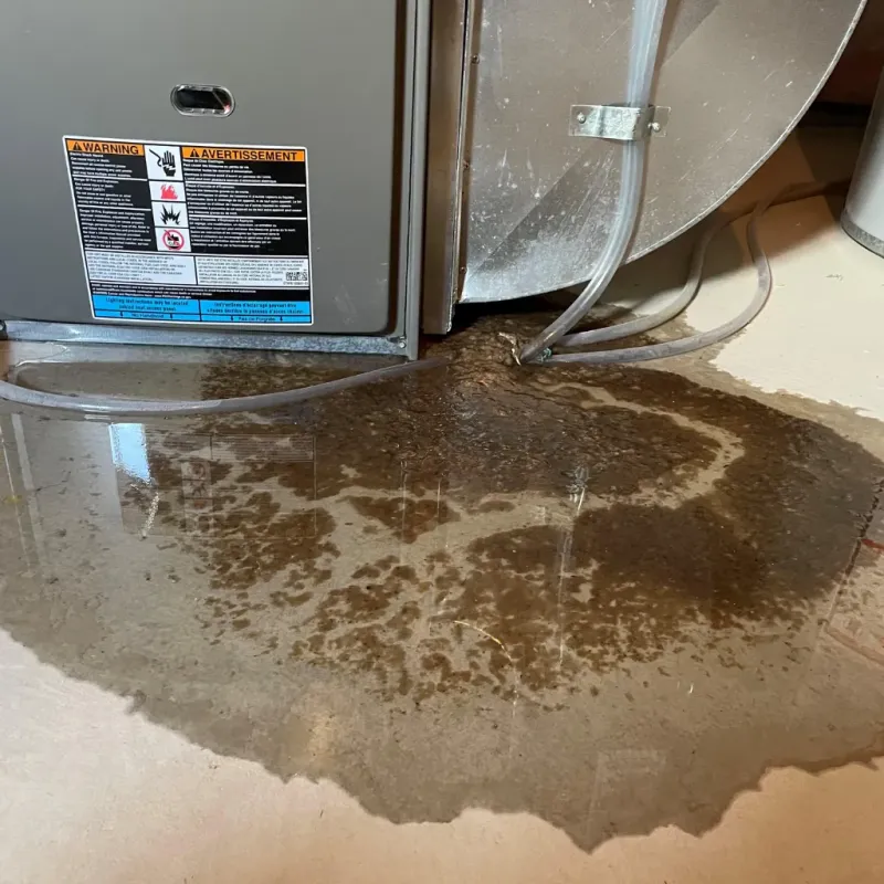 Appliance Leak Cleanup in Meadowlakes, TX