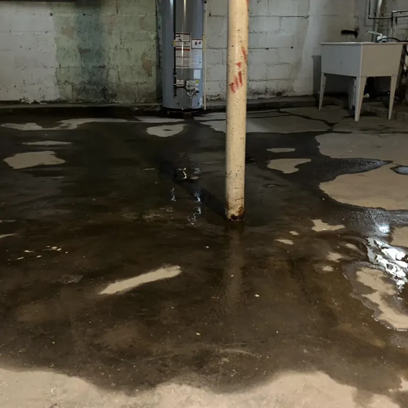 Emergency Water Extraction And Removal in Meadowlakes, TX